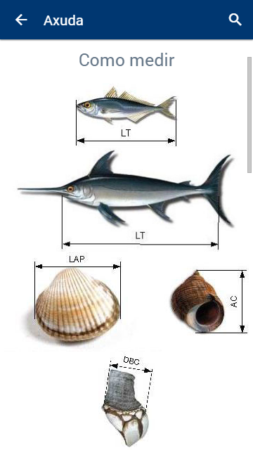 App para el fomento del consumo responsable de pescado: campaña 'No Piques No Peques'