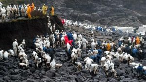 Voluntarios retirando el crudo que alcanzó las costas gallegas en el naufragio del Prestige