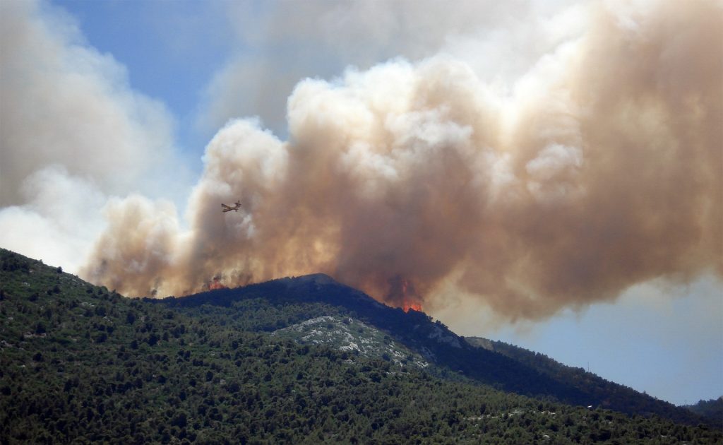 La contaminación marina y los incendios forestales