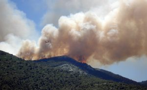 Incendio forestal