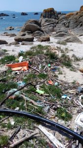 Contaminación de plásticos en las playas