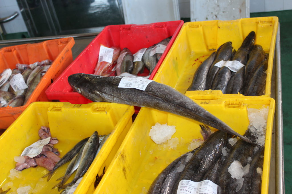 Cajas de pescado en lonja gallega